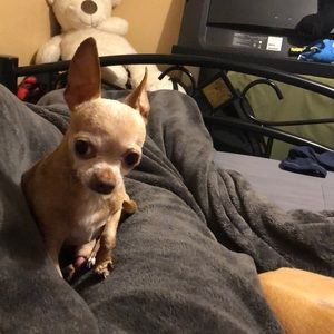 Meet your Posher, Ashley